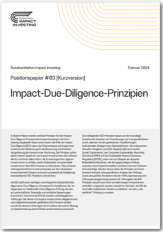 Cover Impact-Due-Diligence-Prinzipien (Kurzversion)
